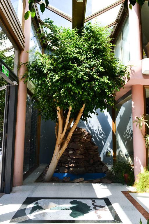 Argenta Apart Hotel Trelew Ngoại thất bức ảnh